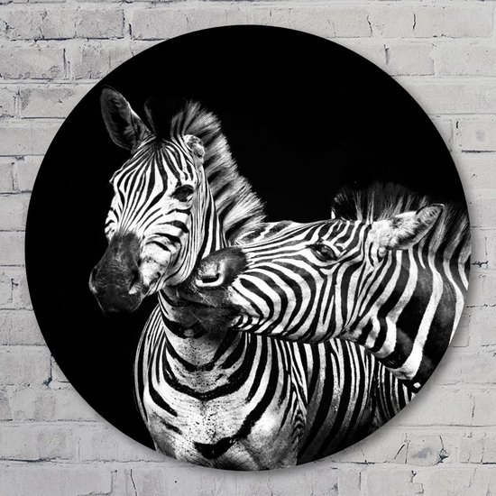 Zebra’s - 50 cm Aluminium Muurcirkel - Dieren - Wanddecoratie - Rond Schilderij - Wandcirkel