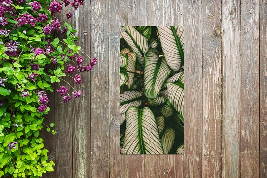 Poster de jardin Feuilles - Plante - Vert - 40x80 cm