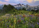 Heye Puzzle Tatoosh Mountains Legpuzzel 2000 stuk(s) Liggend