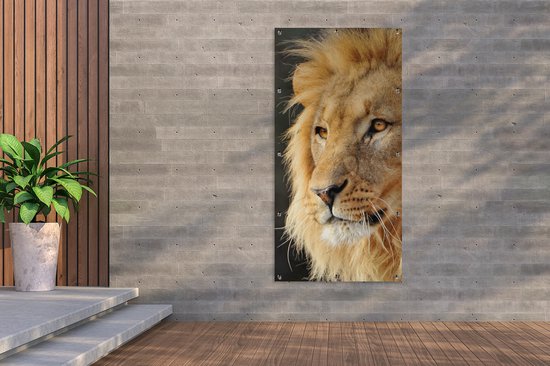 Affiche de clôture Lion - Profil - Chasse - 100x200 cm - Toile de jardin