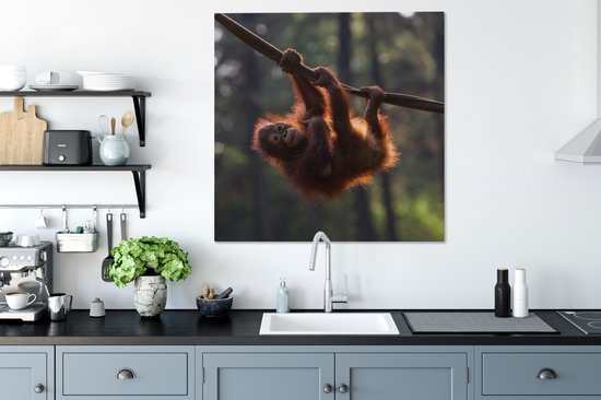 Tableau sur Toile Jeune orang-outan suspendu à une branche - 90x90 cm - Décoration murale