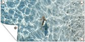 Affiche de clôture Requin en eau peu profonde - 200x100 cm - Toile de jardin