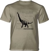T-shirt Brachiosaurus Fact Sheet Beige M