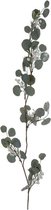 LuxuryLiving - Krans DKD Home Decor - Groen - Kerstmis - Eucalyptus - 10 x 5 x 125 cm