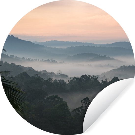 Wallpaper Circle - Forêt - Soleil - Brouillard - 50x50 cm - Wall Circle - Auto-adhésif - Sticker rond pour papier peint
