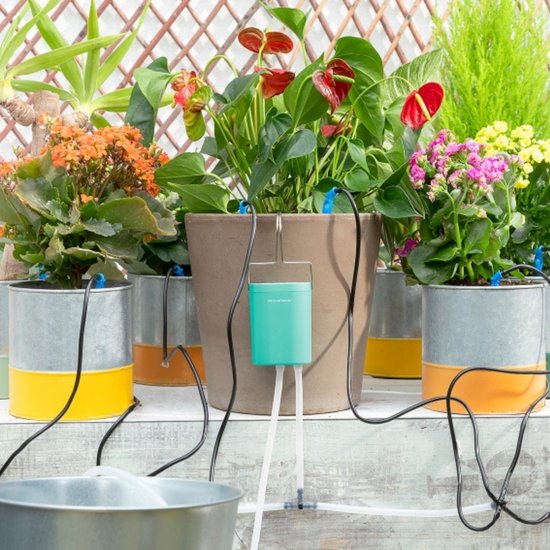 Plantes d'eau pour plantes - Système d'irrigation - Goutteur d'eau pour  plantes d'... | bol.com