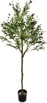 Olijfboom artificiel IvoQ 150 cm - Sans entretien - Durable et sûr - Idéal pour l'intérieur