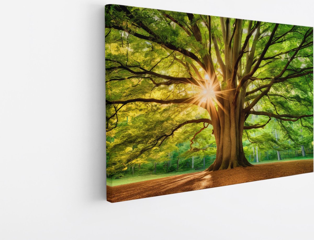 Saammp Canvas Schilderij - Grote Boom met tijdens goldenhour - Natuur - Landschap - 50x40 - Foto op canvas - Wanddecoratie - Muurdecoratie Woonkamer - Slaapkamer decoratie - Canvas Print Multicolor