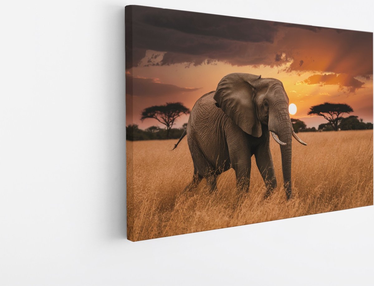 Saammp Canvas Schilderij - olifant in de Natuur - Afrika - Dieren - 45x30 - Foto op canvas - Wanddecoratie - muurdecoratie Woonkamer - Slaapkamer decoratie - Canvas Print Multicolor
