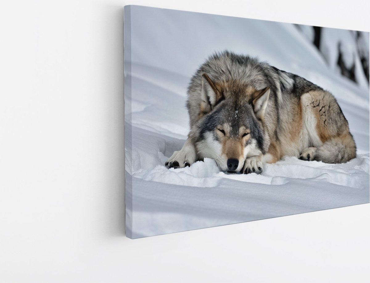 Saammp Canvas Schilderij - Wolf in de sneeuw - Dieren - Natuur - 90x60 - Foto op canvas - Wanddecoratie - muurdecoratie Woonkamer - Slaapkamer decoratie - Canvas Print Multicolor