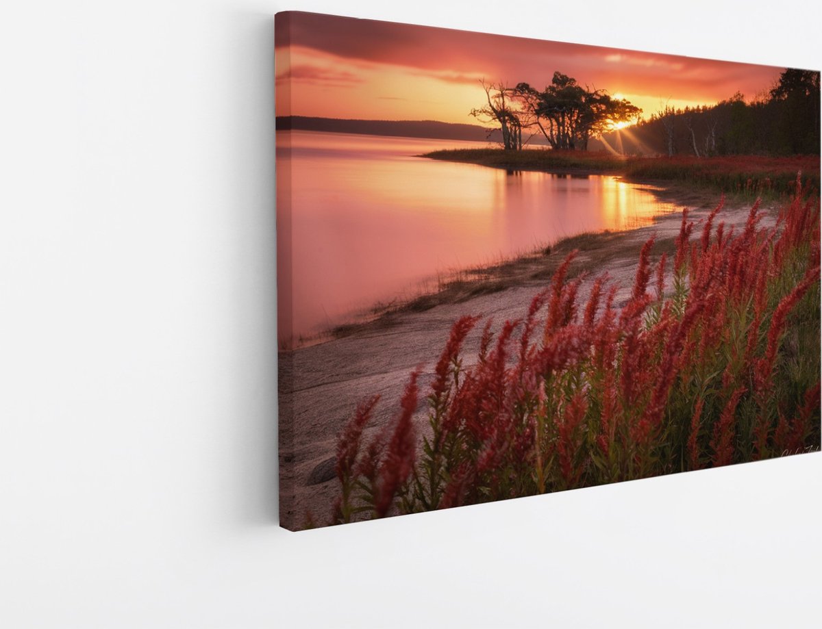 Saammp Canvas Schilderij - Rode Planten - Landschap - Zon - Bloemen - Natuur - 30x20 - Foto op canvas - Wanddecoratie - Muurdecoratie Woonkamer - Slaapkamer decoratie - Canvas Print Multicolor