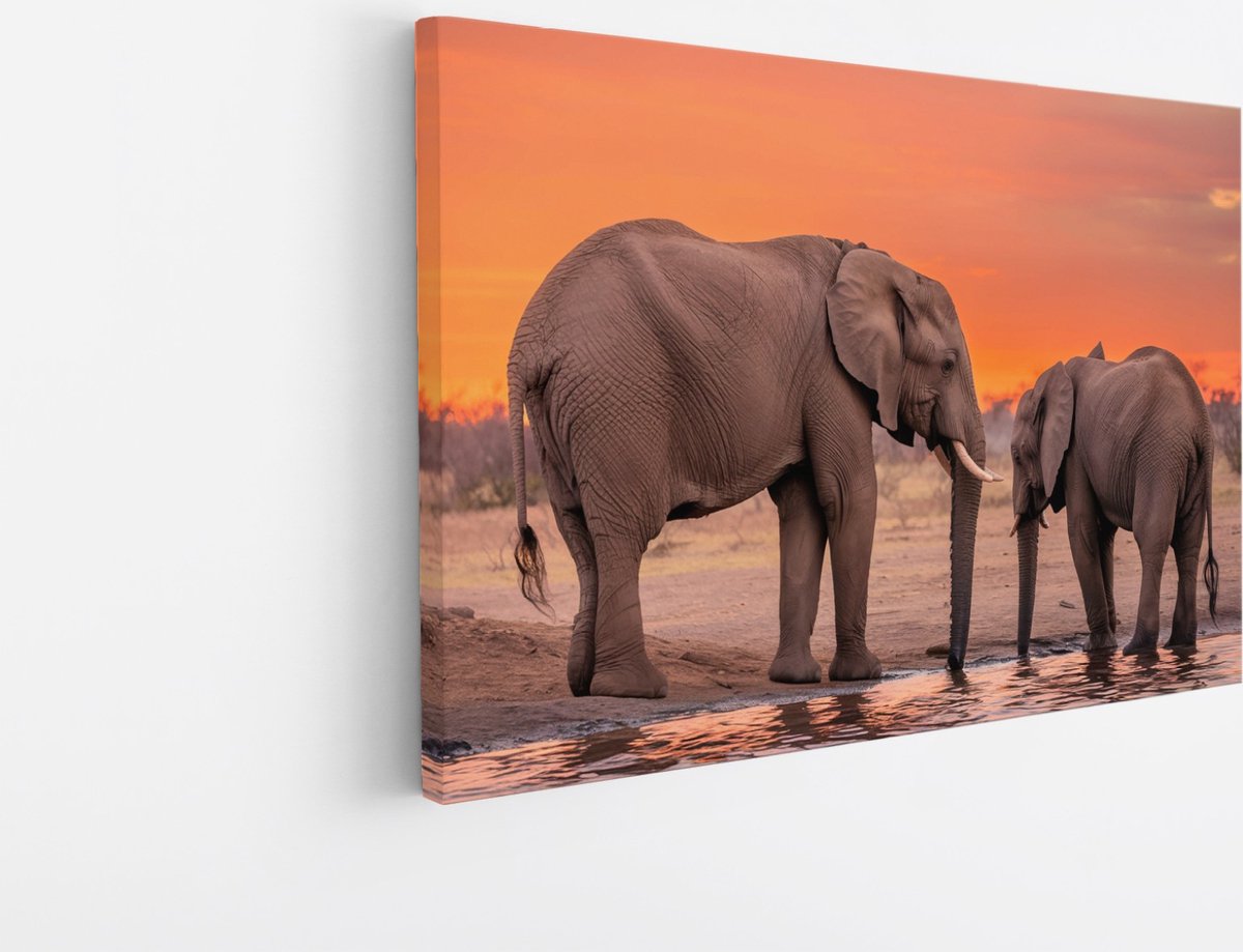 Saammp Canvas Schilderij - Olifant met kalf - Afrika - Dieren - 120x80 - Foto op canvas - Wanddecoratie - muurdecoratie Woonkamer - Slaapkamer decoratie - Canvas Print Multicolor