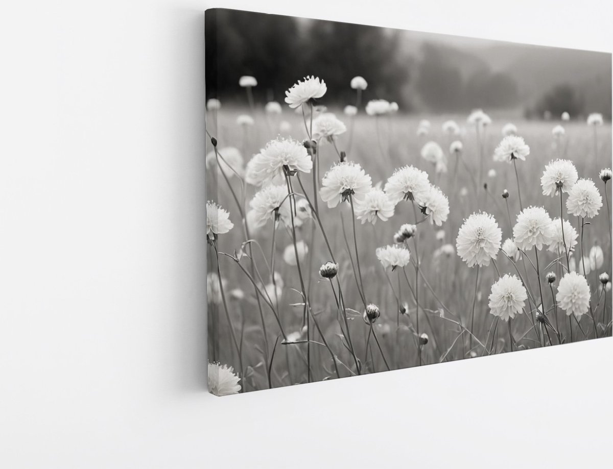 Saammp Canvas Schilderij - Landschap - Zwart-Wit - Bloemen van dichtbij - Natuur - 30x20 - Foto op canvas - Wanddecoratie - Muurdecoratie Woonkamer - Slaapkamer decoratie - Canvas Print Multicolor