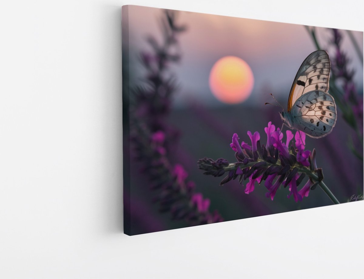 Saammp Canvas Schilderij - Vlinder op Bloemen - Abstract - Natuur - 90x60 - Foto op canvas - Wanddecoratie - Muurdecoratie Woonkamer - Kantoor Decoratie Multicolor