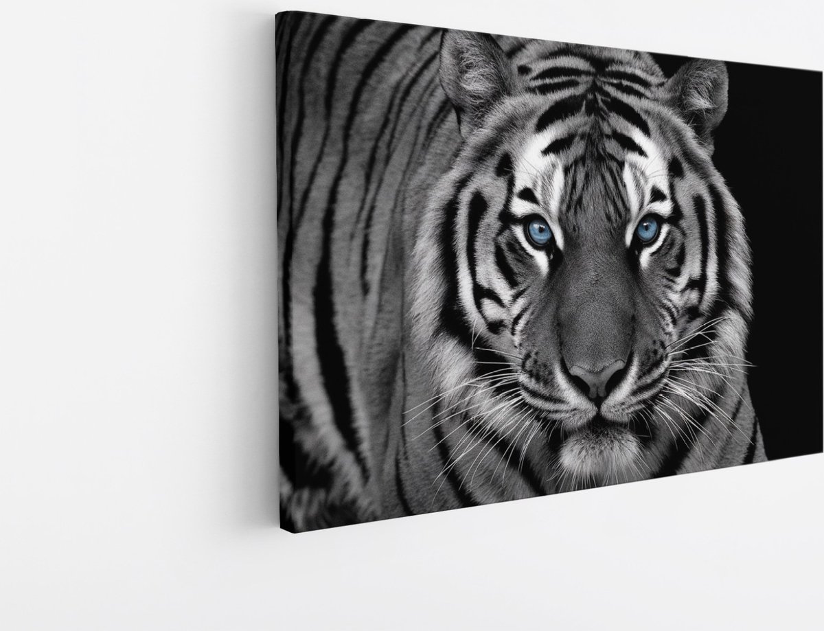Saammp Canvas Schilderij - Tijger met blauwe ogen- Natuur - Dieren - Zwart-Wit - 150x100 - Foto op canvas - Wanddecoratie - muurdecoratie Woonkamer - Slaapkamer decoratie - Canvas Print Multicolor