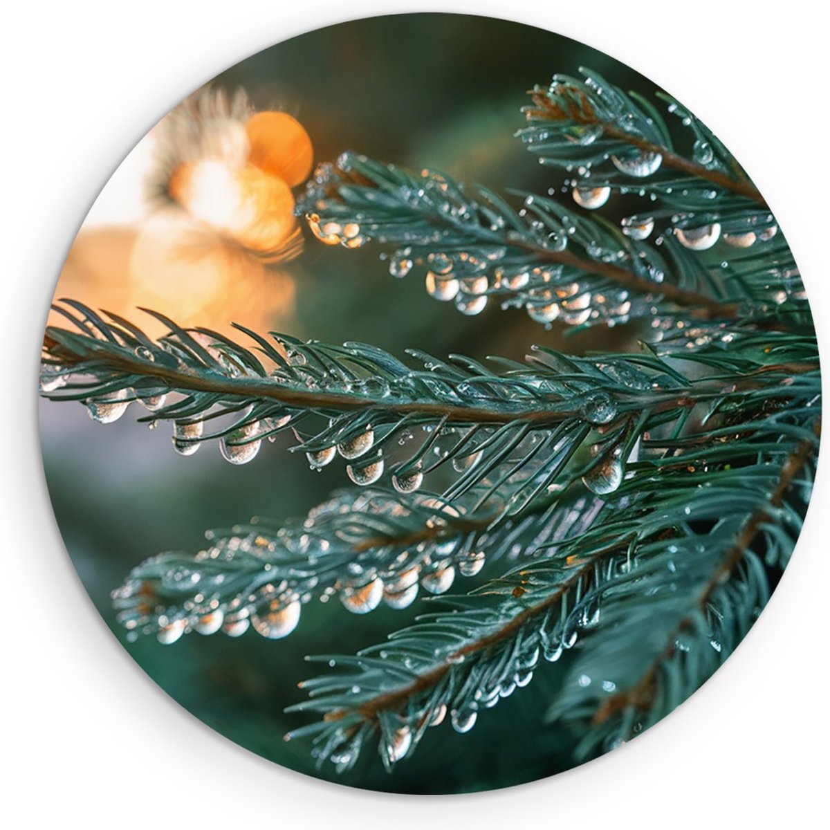Saammp Forex Muurcirkel - Natte pijnboom - Landschap - Natuur - Ø 30 - Wandcirkel - Wanddecoratie Cirkel - Muurdecoratie Woonkamer - Slaapkamer decoratie - Rond Schilderij