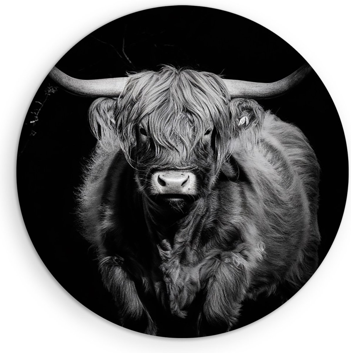 Saammp Muurcirkel Hout - Schotse Hooglander Koe - Zwart-Wit - Dieren - Portret - Ø 50 - Wandcirkel - Wanddecoratie Cirkel - muurdecoratie Woonkamer - Slaapkamer decoratie - Rond Schilderij