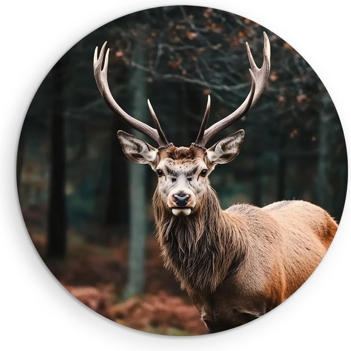 Saammp Muurcirkel Hout - Natuur - Hert - Landschap - Ø 30 - Wandcirkel - Wanddecoratie Cirkel - Muurdecoratie Woonkamer - Slaapkamer decoratie - Rond Schilderij
