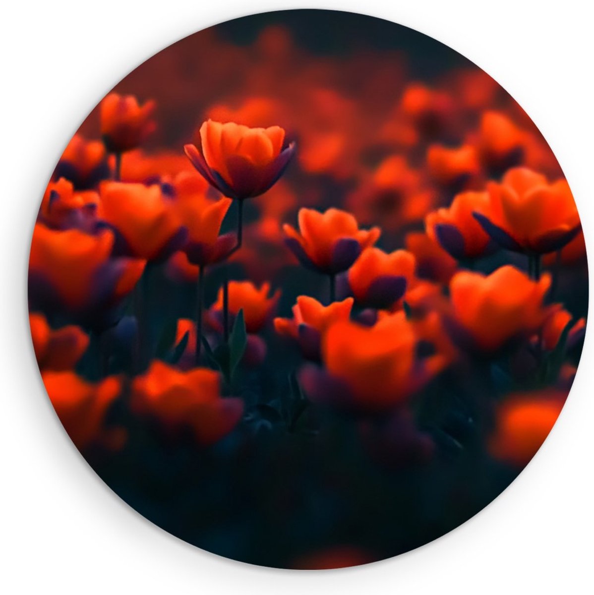 Saammp Muurcirkel Hout - Oranje Bloemenveld - Natuur - Abstract - Ø 30 - Wandcirkel - Wanddecoratie Cirkel - Muurdecoratie Woonkamer - Kantoor Decoratie