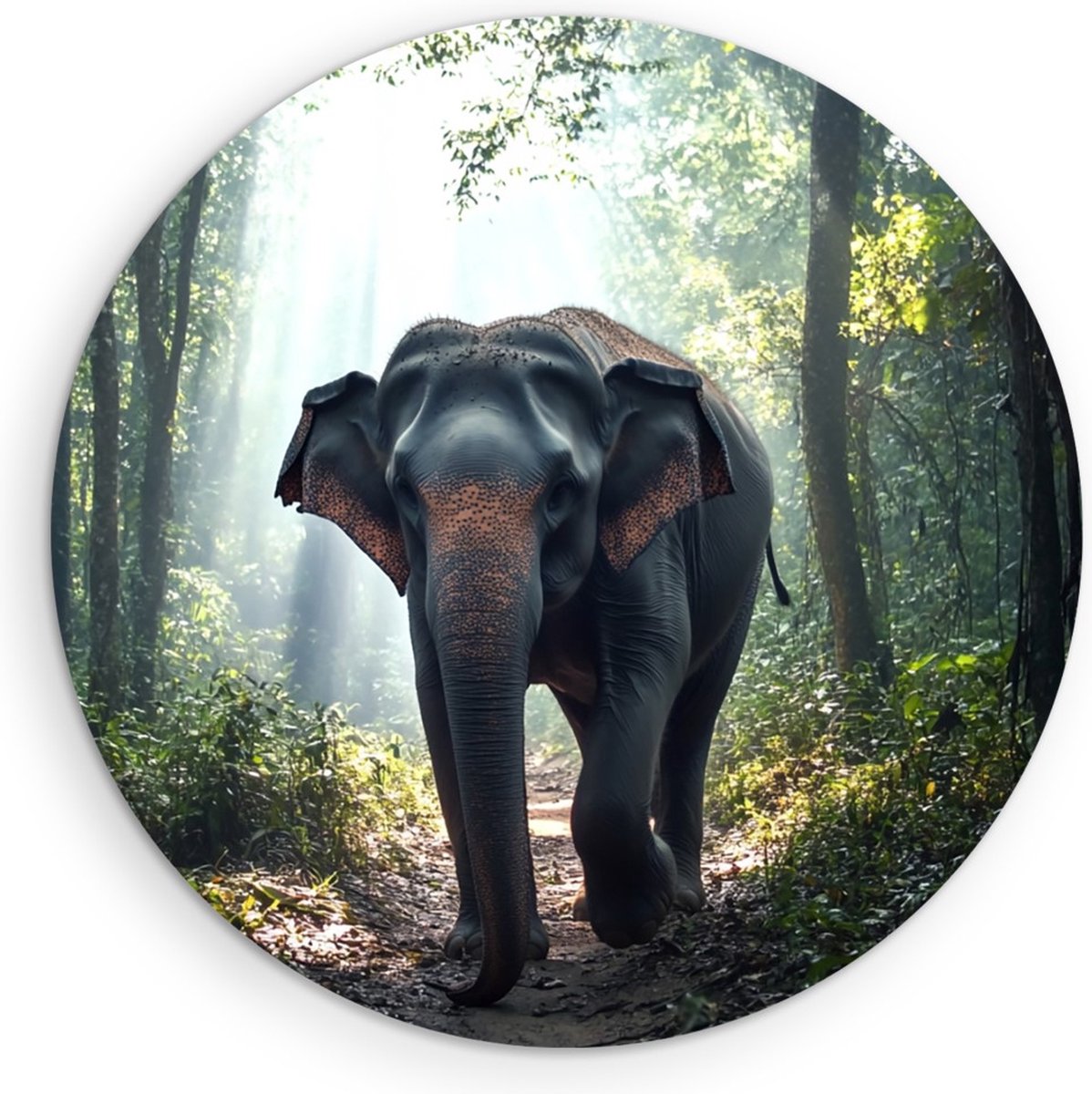 Saammp Forex Muurcirkel - Olifant in bos - Dieren - Ø 40 - Wandcirkel - Wanddecoratie Cirkel - muurdecoratie Woonkamer - Slaapkamer decoratie - Rond Schilderij