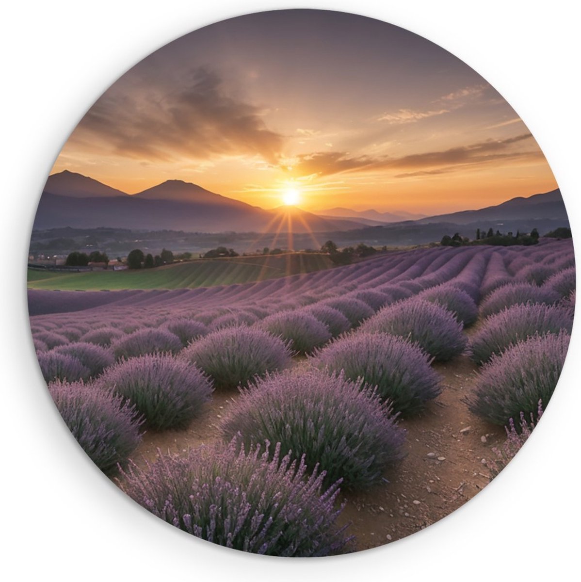 Saammp Muurcirkel Hout - Landschap - Lavendel met bergen - Natuur - Ø 60 - Wandcirkel - Wanddecoratie Cirkel - Muurdecoratie Woonkamer - Slaapkamer decoratie - Rond Schilderij