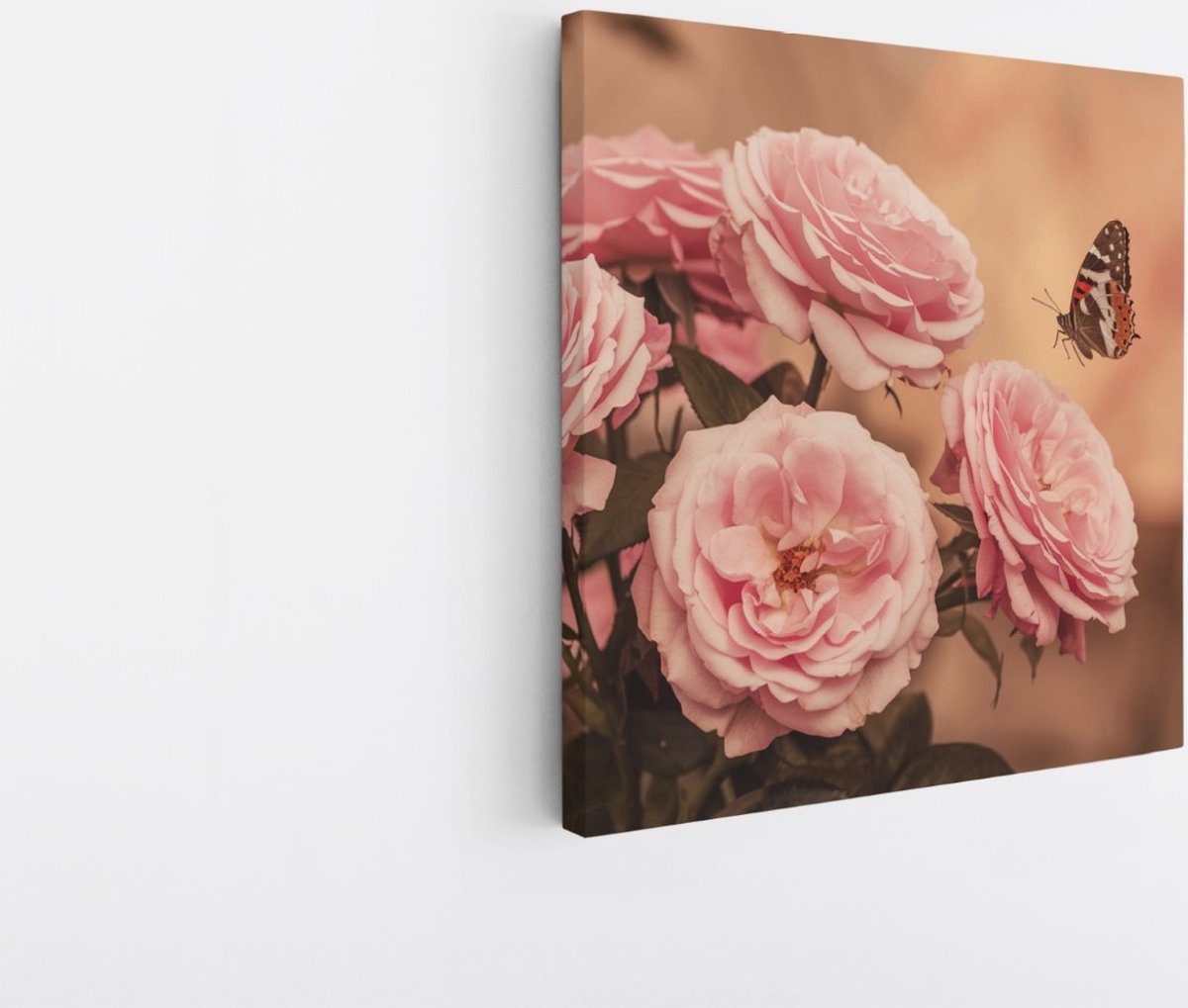 Saammp Canvas Schilderij - Vlinder bij roze rozen - Bloemen - Dieren - Natuur - 40x40 - Foto op canvas - Wanddecoratie - muurdecoratie Woonkamer - Slaapkamer decoratie - Canvas Print Multicolor