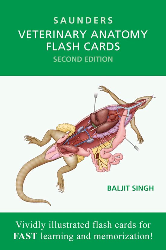 Veterinary Anatomy Flash Cards - cover