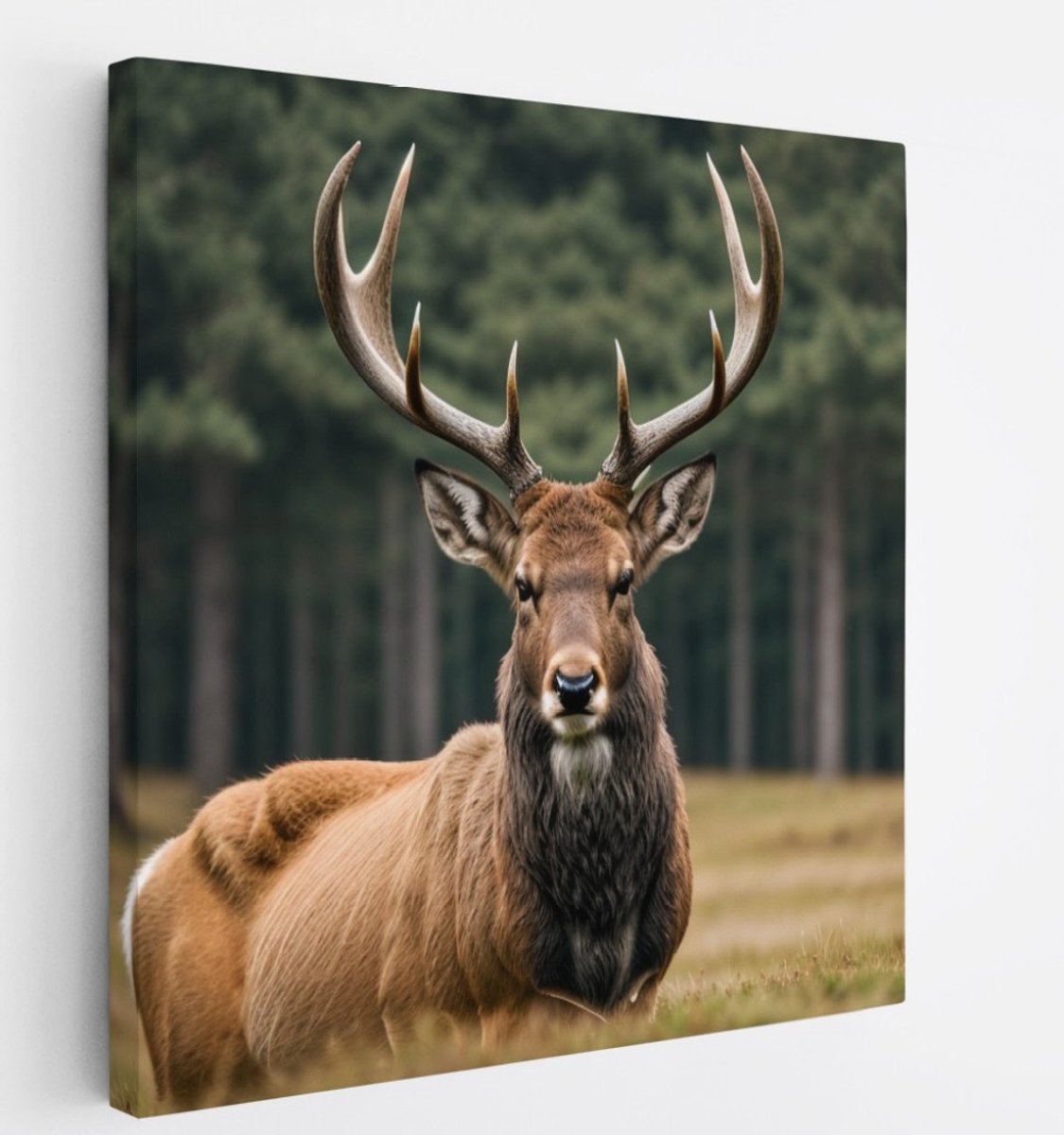 Saammp Canvas Schilderij - hert in de wei - Natuur - Dieren - 40x40 - Foto op canvas - Wanddecoratie - Muurdecoratie Woonkamer - Slaapkamer decoratie - Canvas Print Multicolor