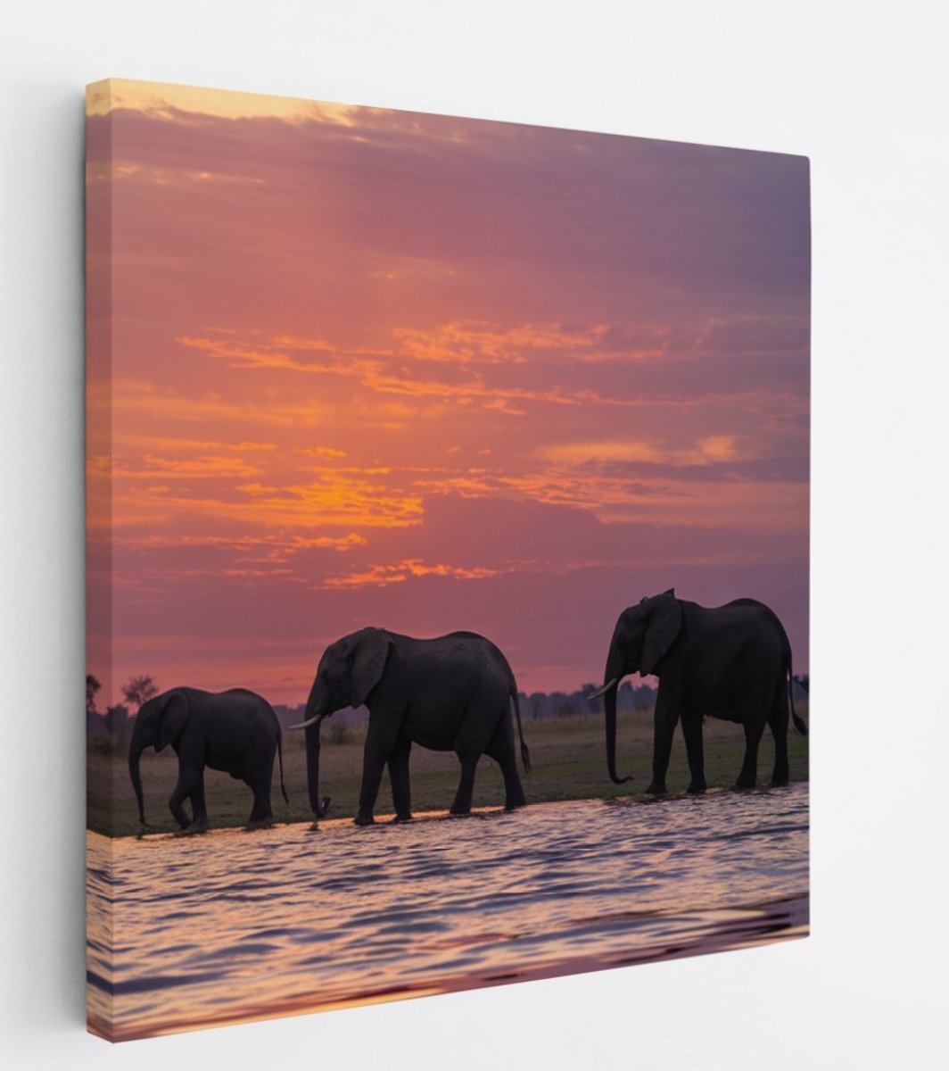 Saammp Canvas Schilderij - Olifanten in de zonsondergang - Afrika - Dieren - 100x100 - Foto op canvas - Wanddecoratie - muurdecoratie Woonkamer - Slaapkamer decoratie - Canvas Print Multicolor