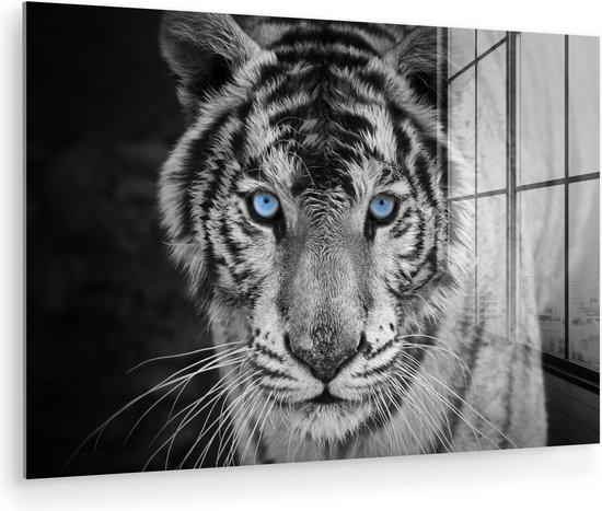 Glasschilderij - Foto op glas - Acrylglas - Dieren - Tijger - Ogen - Blauw - 120x80 cm - Glasschilderij tijger - Glasschilderij zwart wit - Muurdecoratie glas - Wanddecoratie dieren