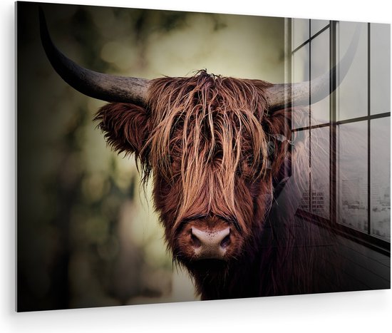 MuchoWow® Peinture sur verre 120x80 cm - Peinture sur verre acrylique - Highlander écossais - Lumière - Portrait - Nature - Photo sur verre - Peintures