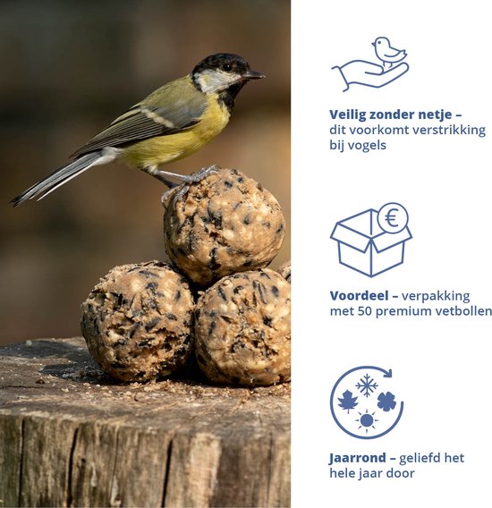 Koolmees zit op vogelvetbollen op een boomstomp. 'Veilig zonder netje' en 'Voordeel - verpakking met 50 premium vetbollen'.