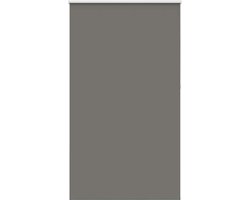 vidaXL - Rolgordijn - verduisterend - 140x230 - cm - stofbreedte - 136,6 - cm - grijs