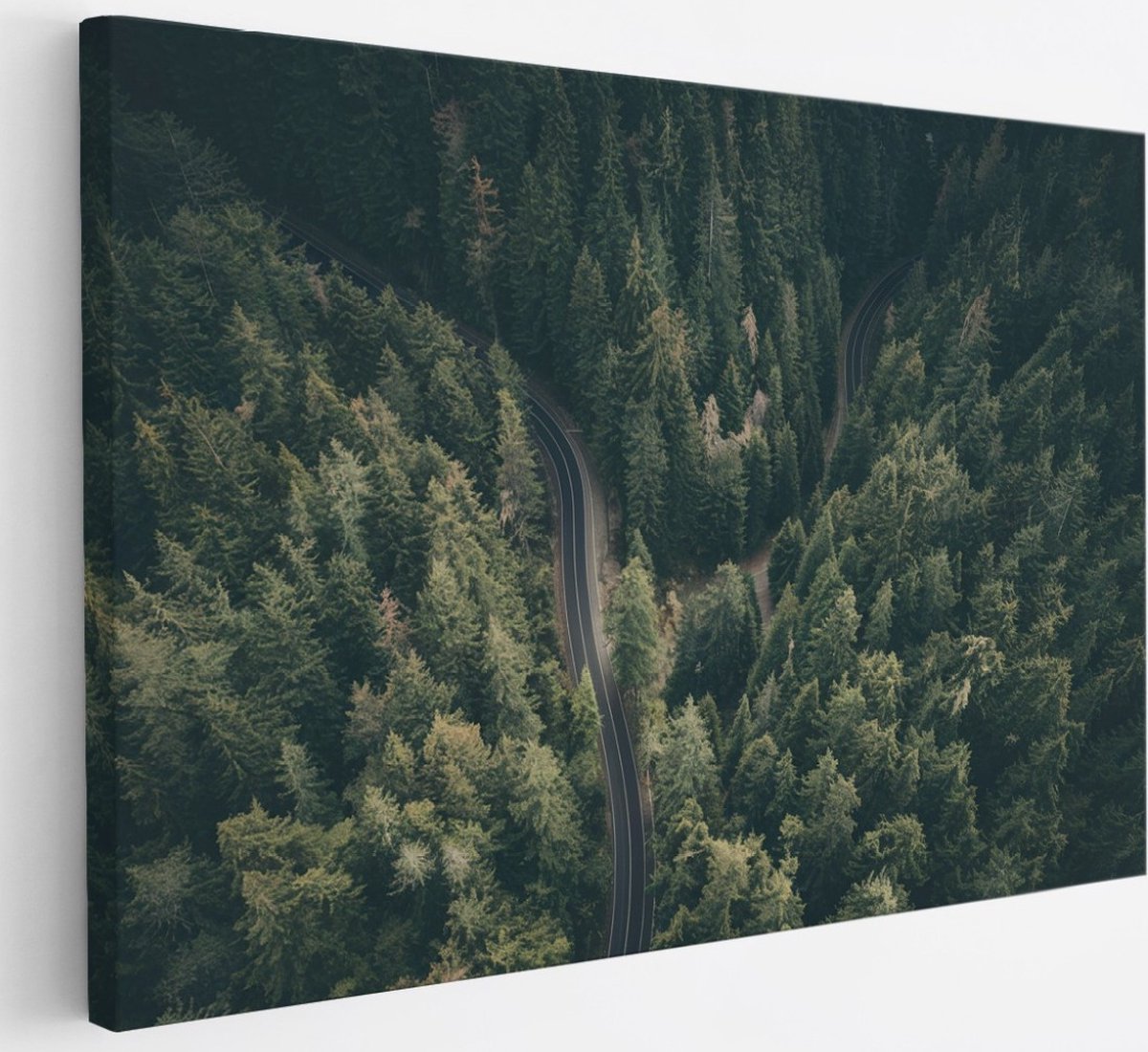 Saammp Canvas Schilderij - Weg tussen de bomen door - Natuur - 30x20 - Foto op canvas - Wanddecoratie - Muurdecoratie Woonkamer - Slaapkamer decoratie - Canvas Print Multicolor