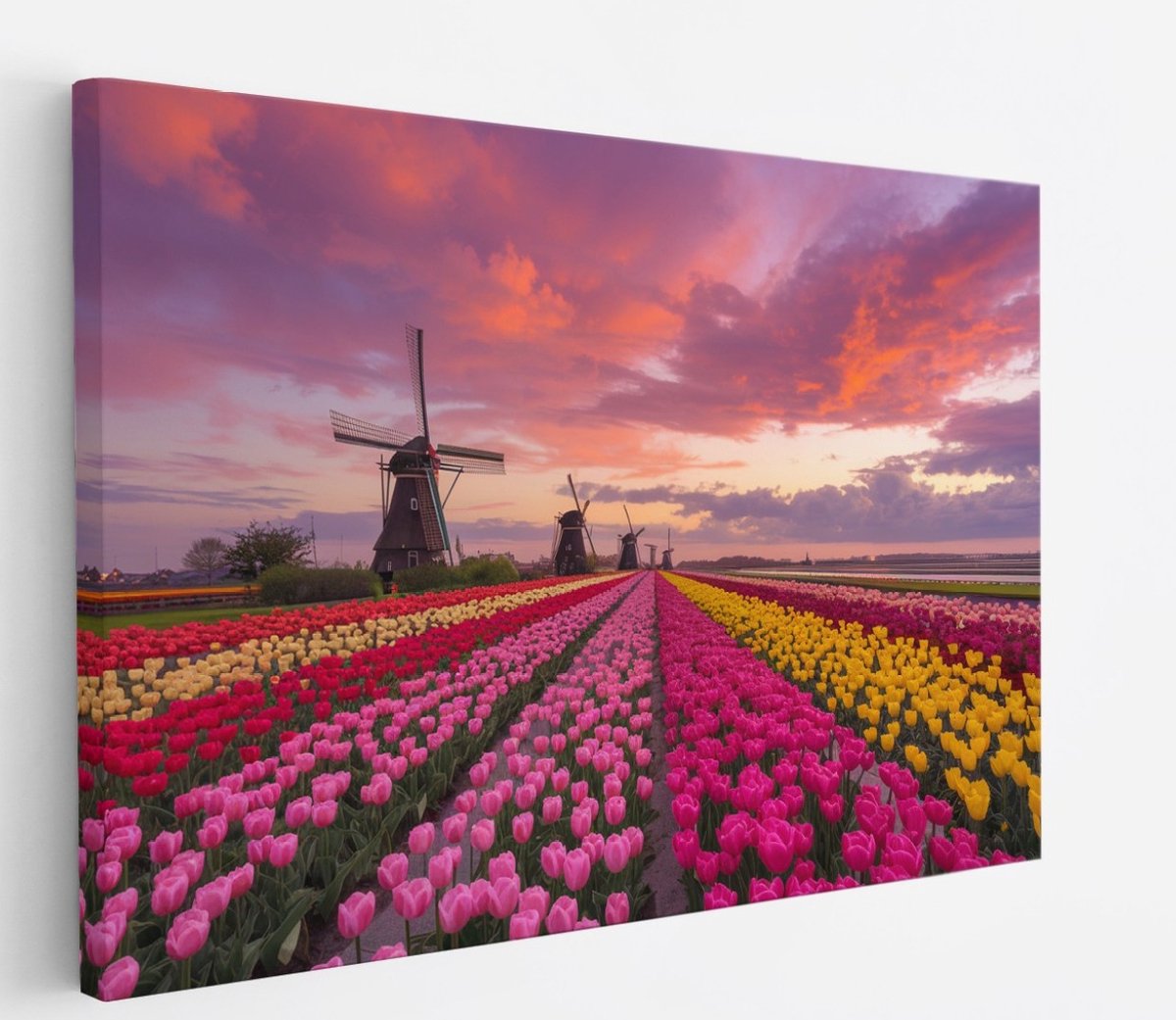 Saammp Canvas Schilderij - Nederland - Bloemen - Tulpen - Molen - Landschap - Natuur - 100x75 - Foto op canvas - Wanddecoratie - Muurdecoratie Woonkamer - Slaapkamer decoratie - Canvas Print Multicolor