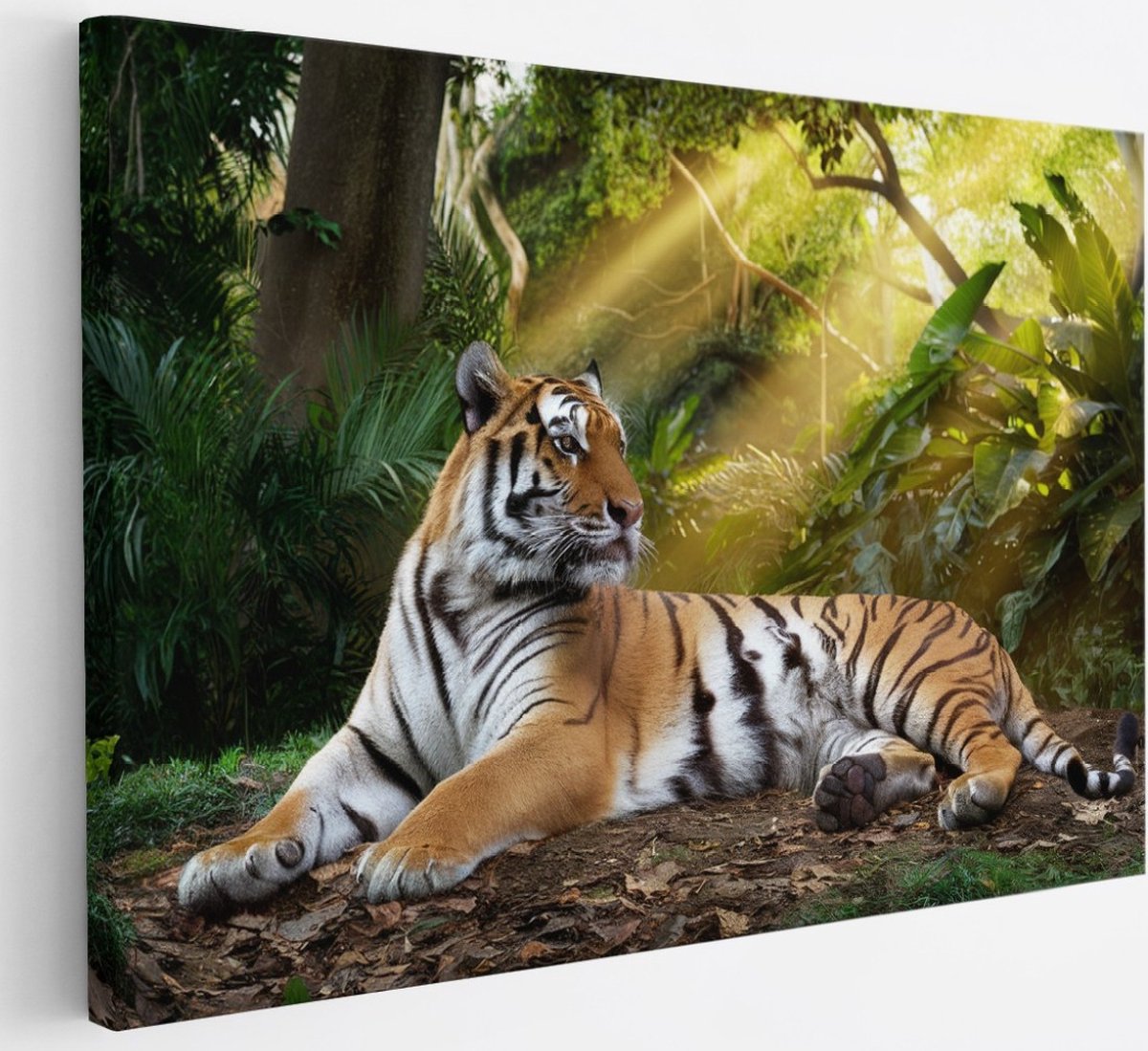 Saammp Canvas Schilderij - Tijger in de zon - Natuur - Dieren - 30x20 - Foto op canvas - Wanddecoratie - muurdecoratie Woonkamer - Slaapkamer decoratie - Canvas Print Multicolor