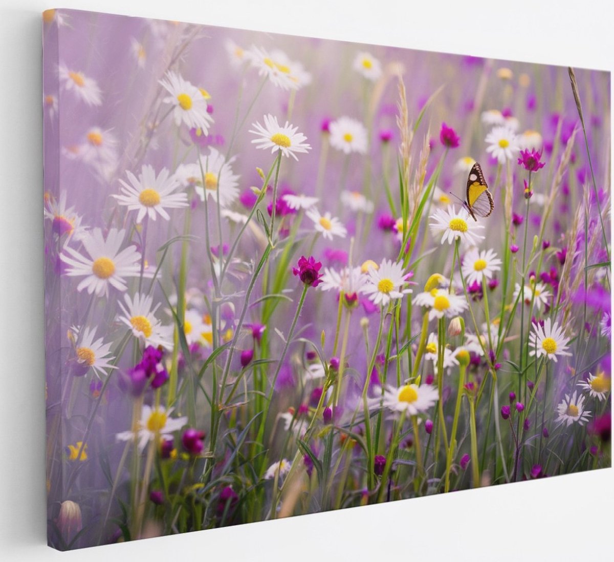 Saammp Canvas Schilderij - bloemen in veld - Natuur - 30x20 - Foto op canvas - Wanddecoratie - Muurdecoratie Woonkamer - Kantoor Decoratie Multicolor