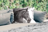 Buitenkussens - Paarden - Zwart - Portret - Dieren - 60x40 cm - Weerbestendig