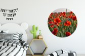 WallCircle - Wandcirkel - Bloemen - Klaprozen - Veld - Muurcirkel - Ronde wanddecoratie - ⌀ 90 cm - Kunststof - Muurcirkel binnen - Schilderij rond - Muurdecoratie - Slaapkamer