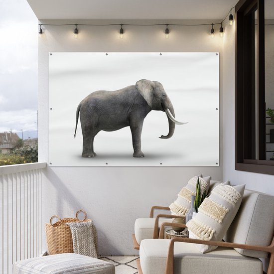 Décoration murale Eléphant sur fond blanc - 180x120 cm - Poster jardin - Toile jardin
