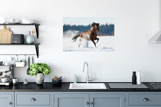 Poster Paard - Sneeuw - Winter - 90x60 cm