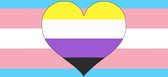 Transgender en Non-binary Pride vlag 90x150 cm - Polyester - 2 ophangringen - nonbinair - nonbinairy flag
