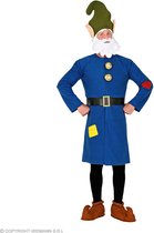 Widmann - Dwerg & Kabouter Kostuum - Hardwerkende Mijn Kabouter Dommel - Man - Blauw - Medium / Large - Carnavalskleding - Verkleedkleding