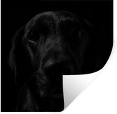Muurstickers - Sticker Folie - Hond - Huisdier - Zwart - 80x80 cm - Plakfolie - Muurstickers Kinderkamer - Zelfklevend Behang - Zelfklevend behangpapier - Stickerfolie
