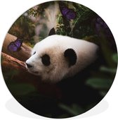 WallCircle - Wandcirkel ⌀ 30 - Dieren - Jungle - Panda - Ronde schilderijen woonkamer - Wandbord rond - Muurdecoratie cirkel - Kamer decoratie binnen - Wanddecoratie muurcirkel - Woonaccessoires
