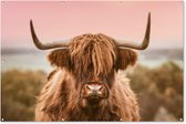 Muurdecoratie Koe - Schotse hooglander - Dier - 180x120 cm - Tuinposter - Tuindoek - Buitenposter