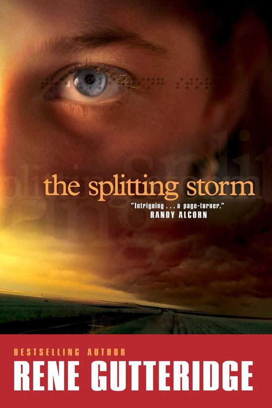 The Splitting Storm - cover