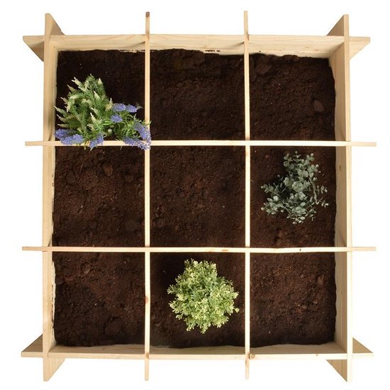 Houten vierkante meter moestuinbak van bovenaf gezien, met 9 vakken, aarde en plantjes.