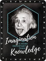 Einstein Imagination Is More Important Than Knowledge Metalen Bord - 15 x 20 cm