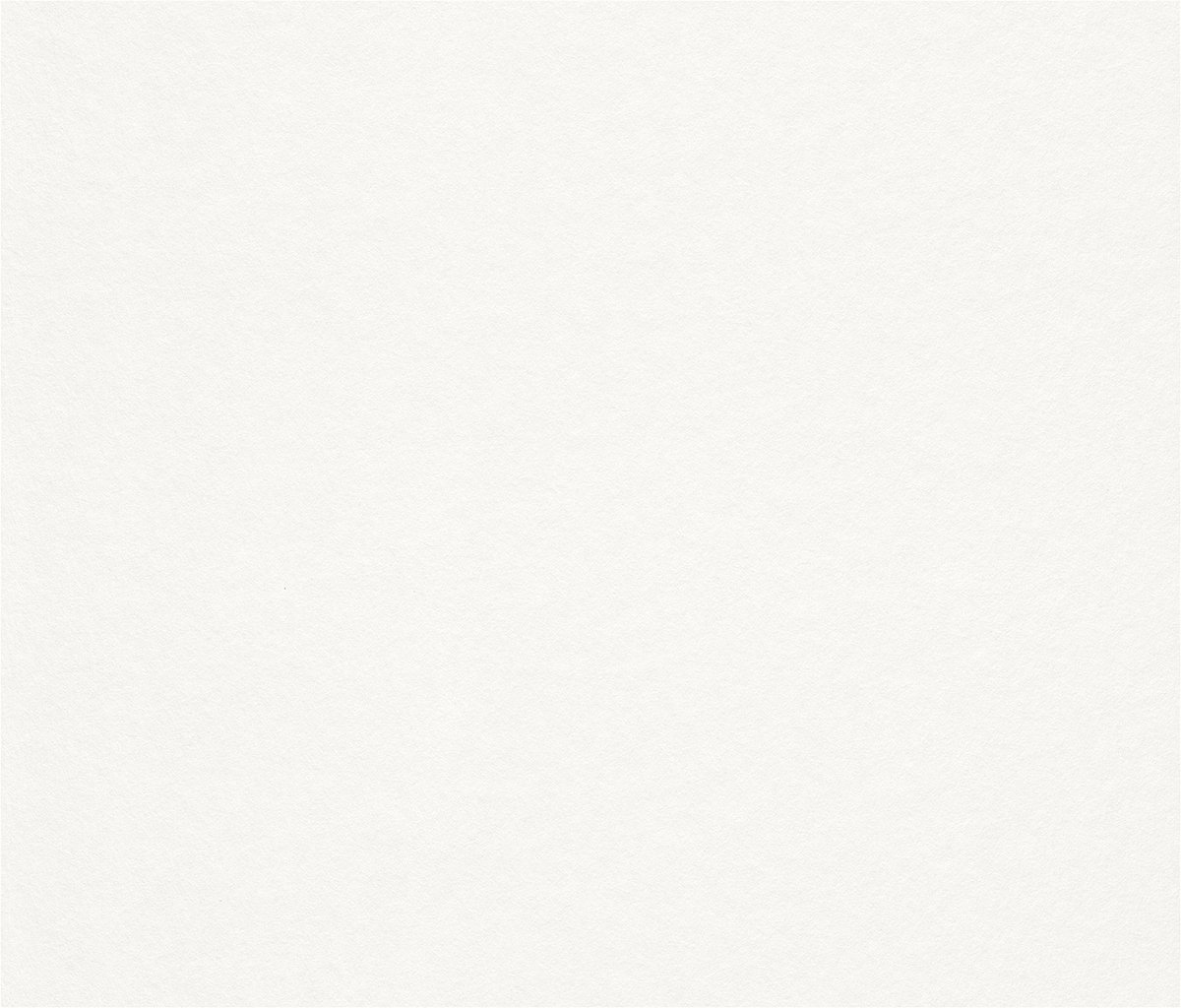 Renovatievlies 165005 effen wit Rasch
